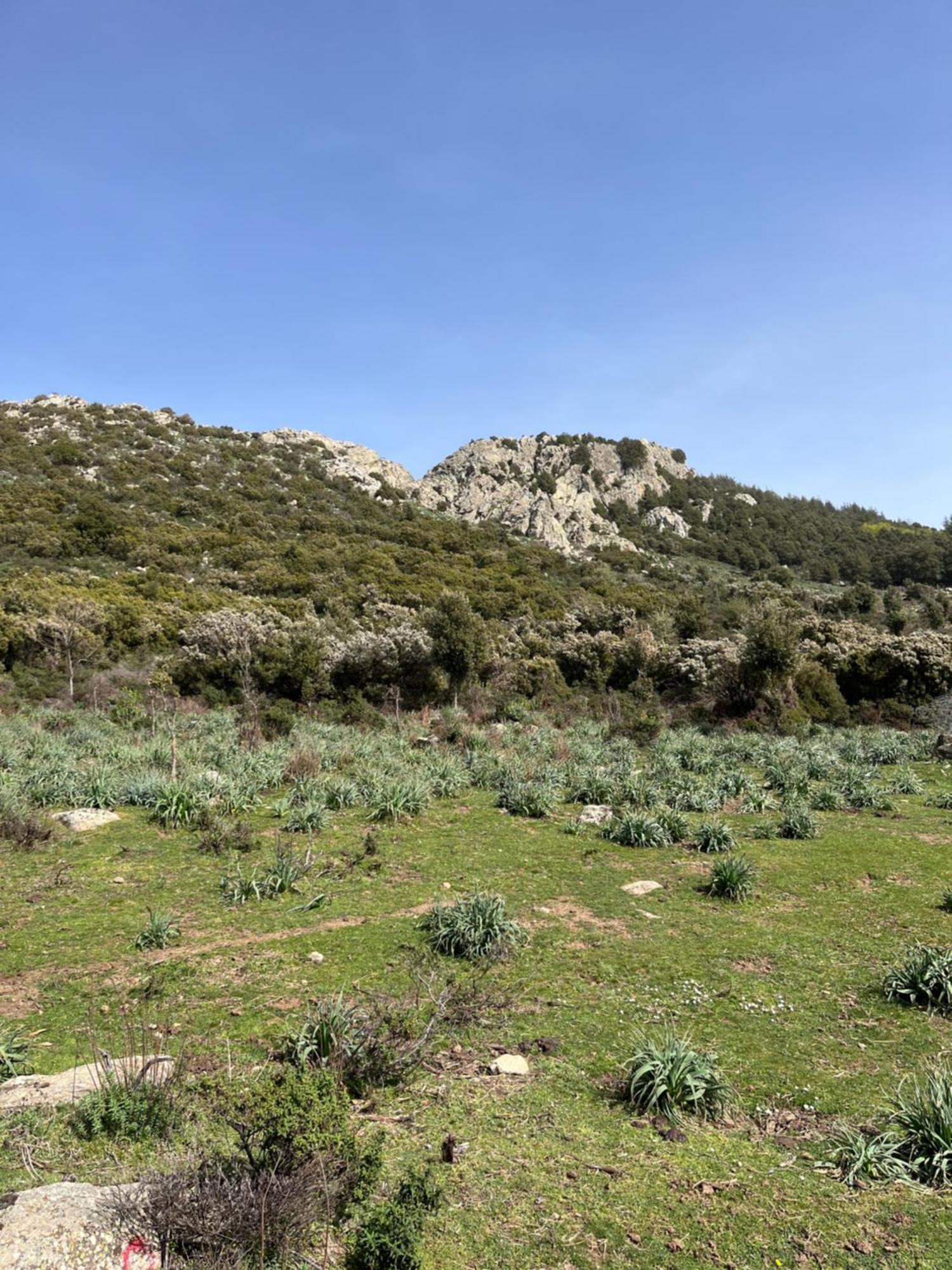 Appartamento Domu' Seùlo Esterno foto